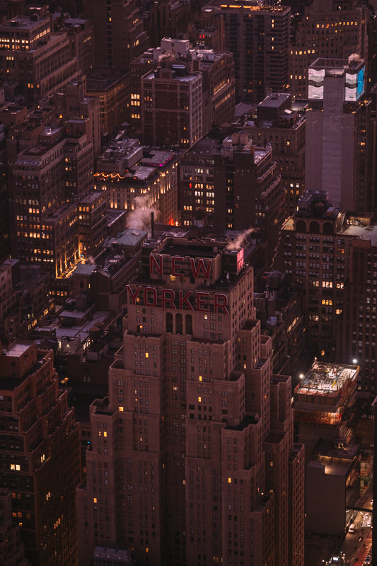 new yorker