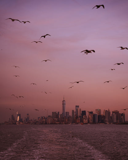 Birds flying over the New York City skyline from a ferry leaving the city
