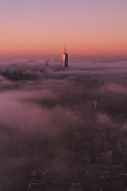 out of the fog